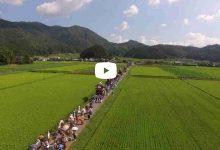 【動画】 波々伯部神社祭礼