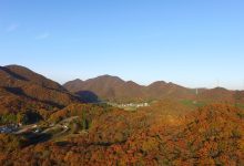 【写真】 紅葉 釜屋