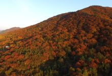 【写真】 紅葉 今田支所