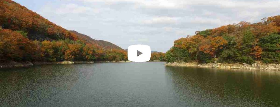 【動画】 紅葉 大川瀬