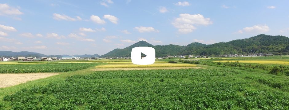 【動画】 高城山八景 池上