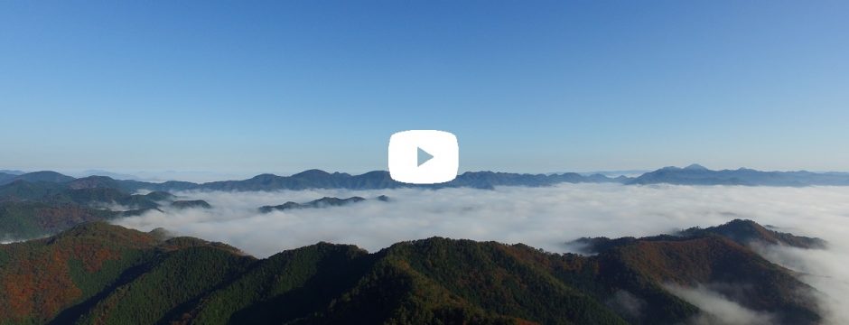 【動画】雲海 味間奥